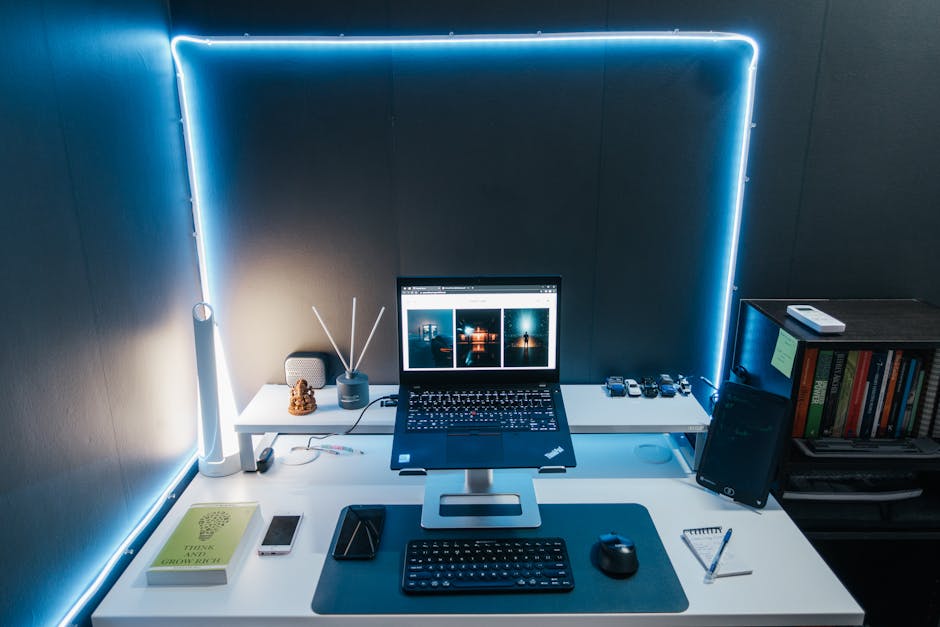Skills 工具箱概念图